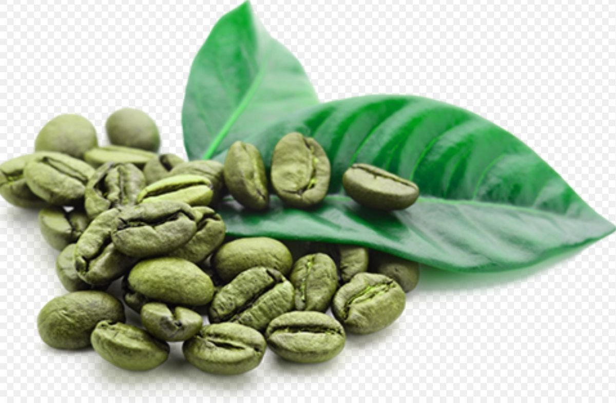 Green Coffee Bean Extract Gelatide